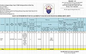 Mẫu Báo Cáo Tình Hình Sử Dụng Lao Động Nước Ngoài 2024