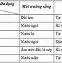 Môi Trường Sống Của Giun Đốt