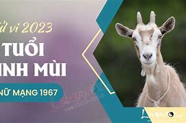 Tử Vi Tuổi Đinh Mùi Nữ Mạng Năm 2023