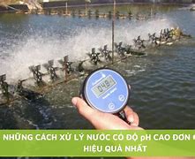 Xử Lý Nước Ph Cao